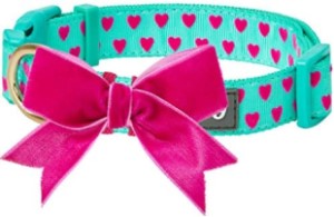 a pretty cat collar with bow